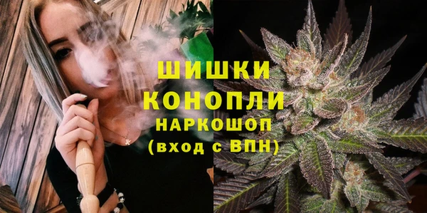 прущие грибы Гвардейск