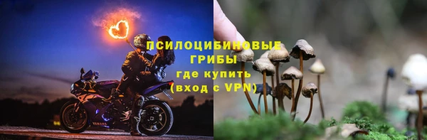 PSILOCYBIN Волоколамск