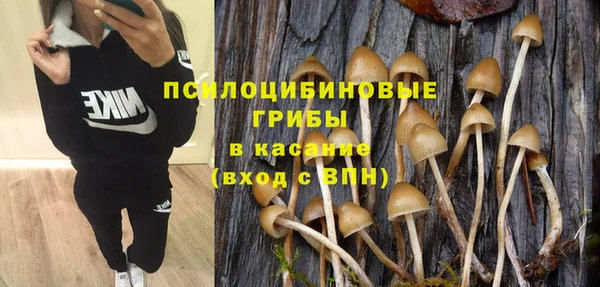СК Осинники