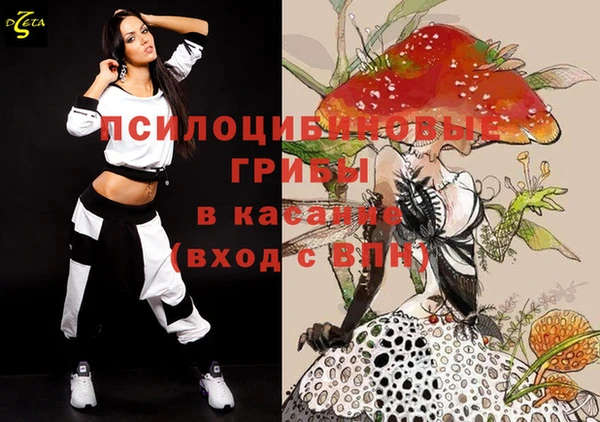 меф Пестово